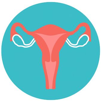 Service de gynécologie à Tanger